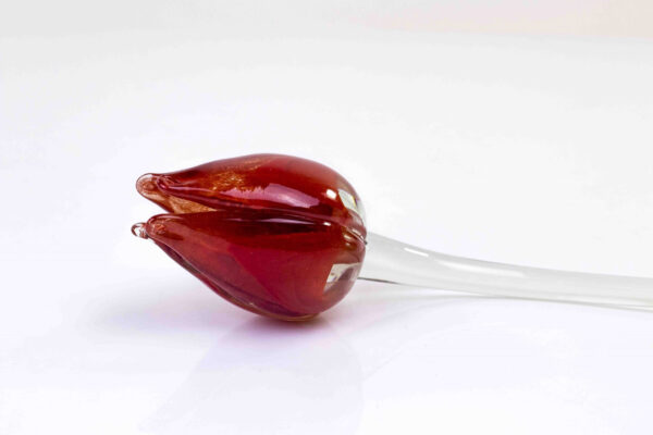 tulp glas rood 50 cm