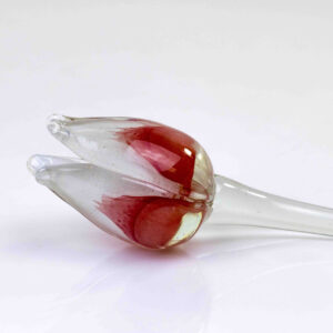 glazen tulp rood wit