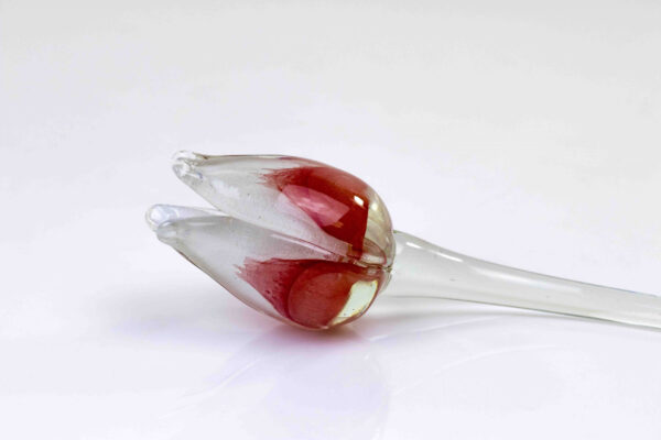 glazen tulp rood wit