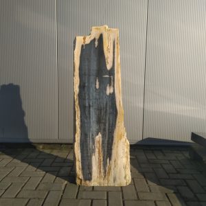versteend hout grafmonument
