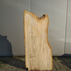 grafmonument van versteend hout