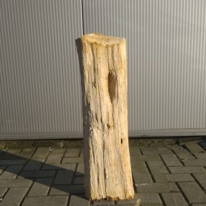 ruw versteend hout