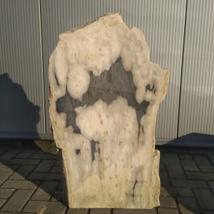 versteend hout grafmonument