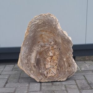 versteend houten urnenmonument