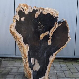 versteend houten grafmonument